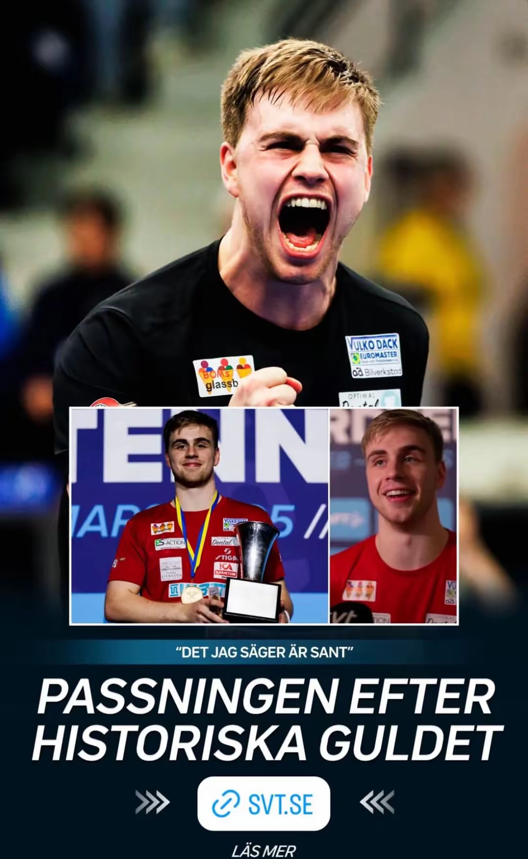 瑞典队力保不败,表现十分出色的简单介绍 瑞典队力保不败,表现十分出色的简单介绍