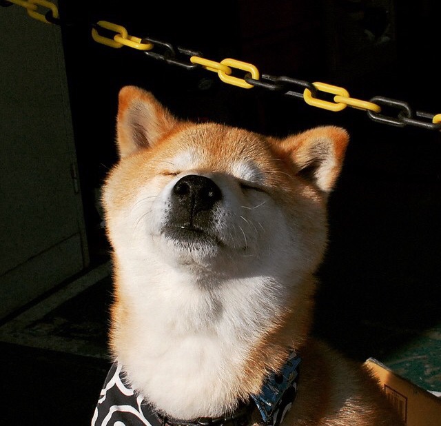 决死时刻的星图,当米切尔接过詹眉的权杖,洛城沦陷背后是联盟黄昏的哀鸣