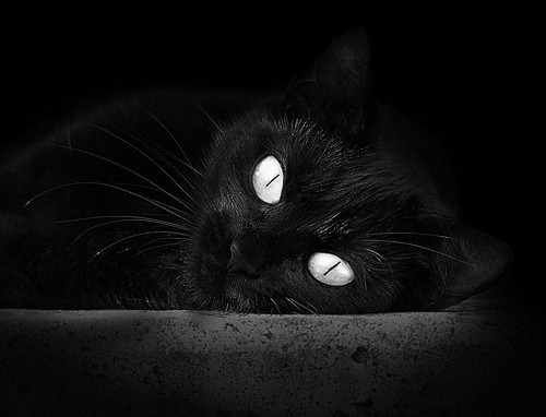 雷火电竞充值-天生大场面！年度焦点之战夜，米切尔再证硬仗之王挽狂澜于既倒