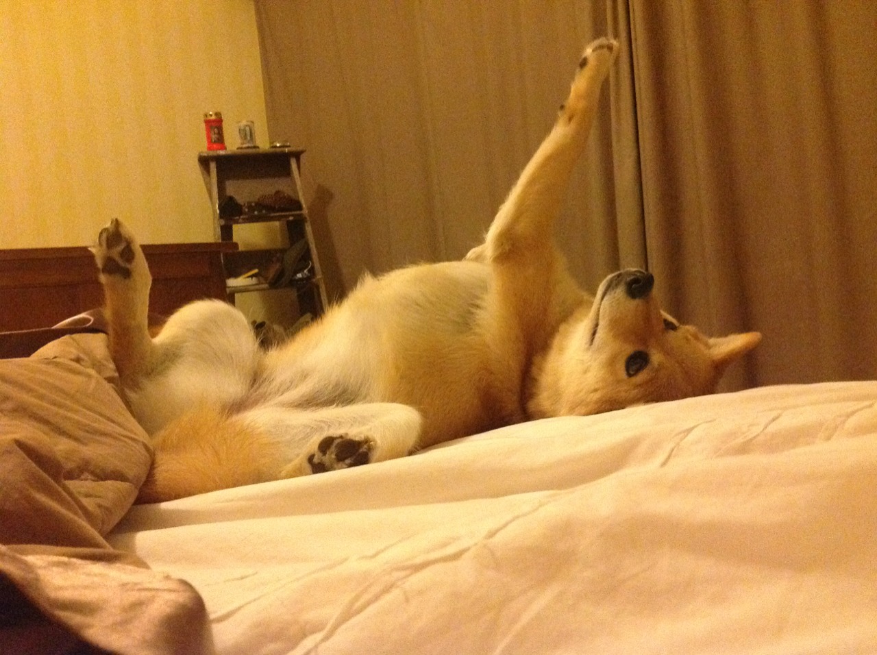 跨洲对决，杰伦格林压制级发挥助活塞绝杀浙江队