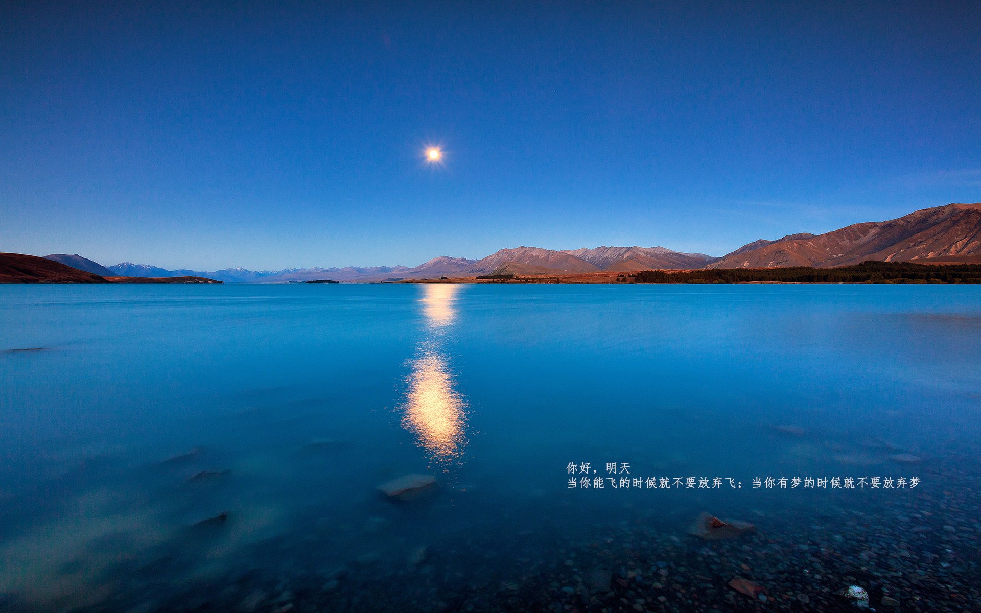 雷火电竞主播-致命弧线，布鲁诺一击，改写安菲尔德命运