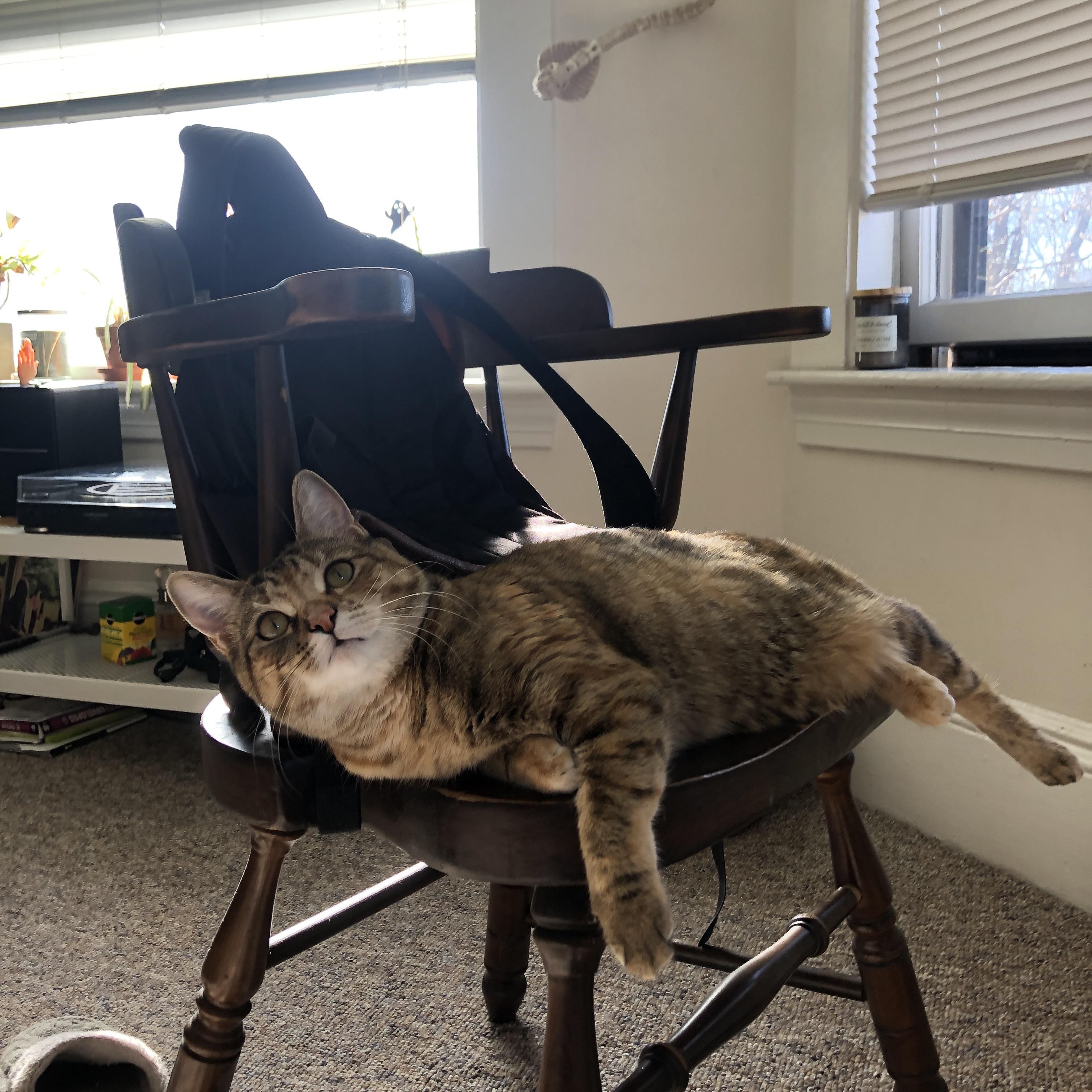 今夜独奏，东契奇推开总冠军之门