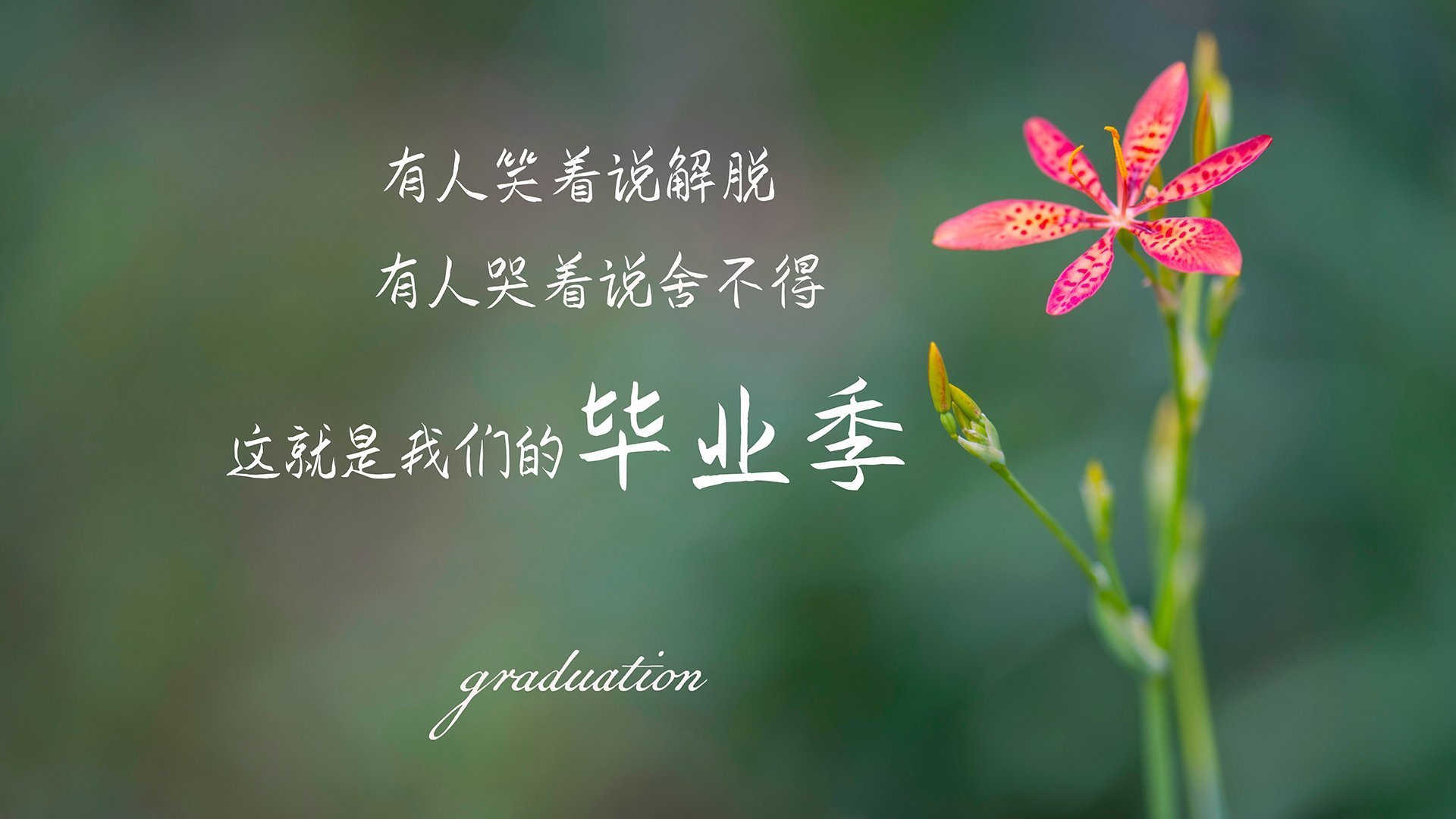 湖人王者无情狂胜爵士，拉梅洛·鲍尔掌控全局