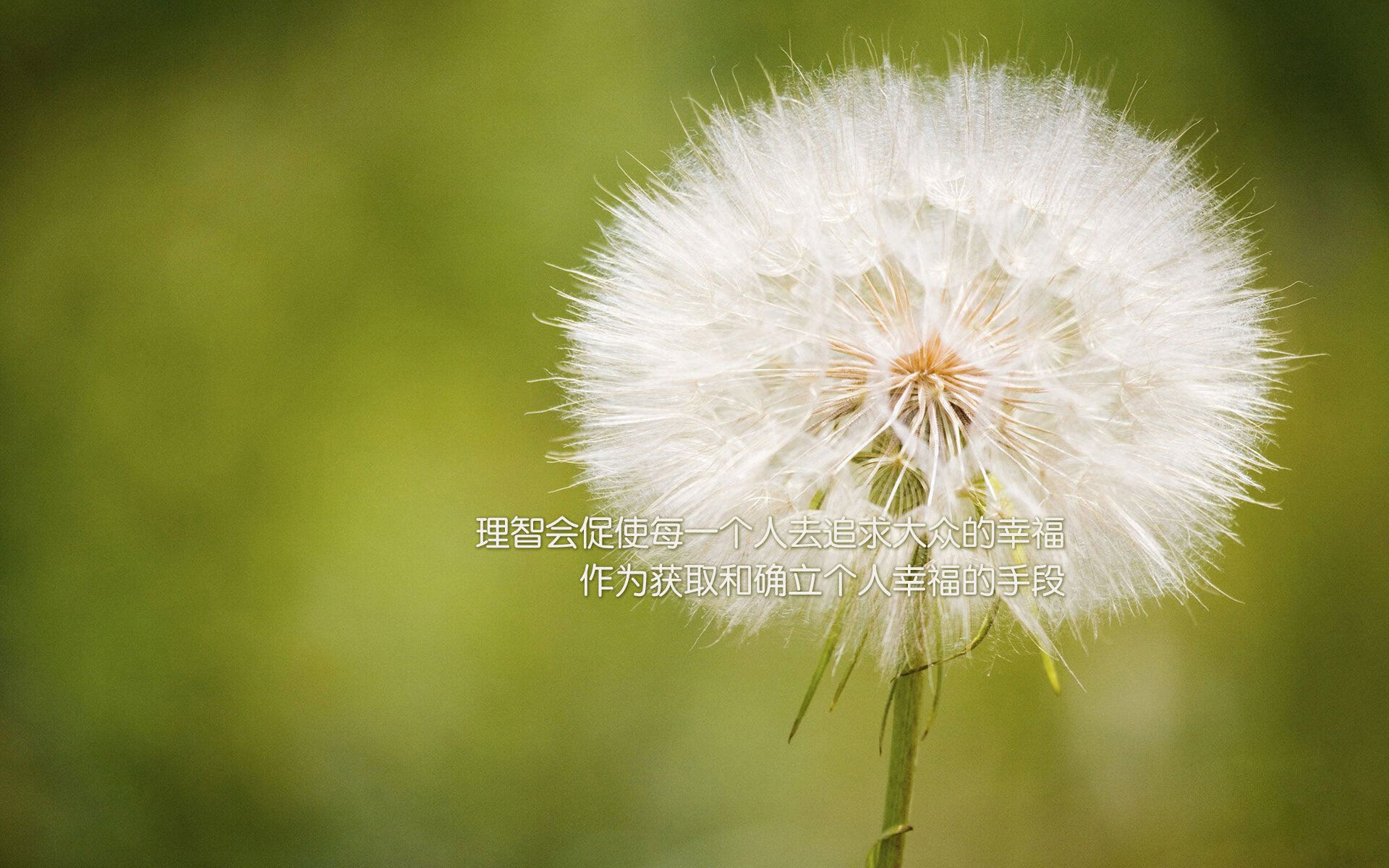 球门线与地缘线，论库尔图瓦的西决封神与美国对马赛的战术压制哲学