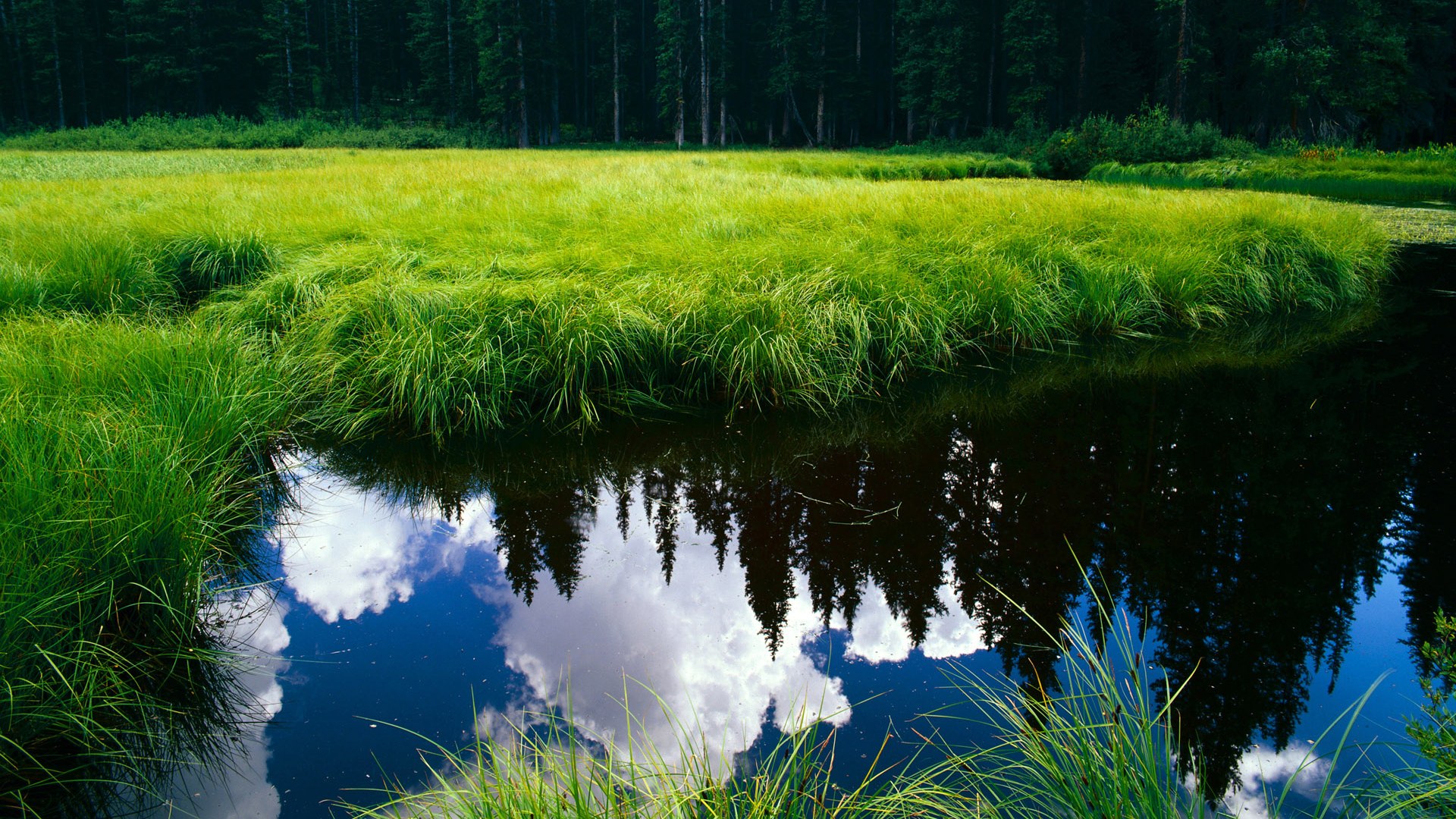 雷火电竞合作-浓眉末节救赎战，掘金争冠路上的惊魂逆转