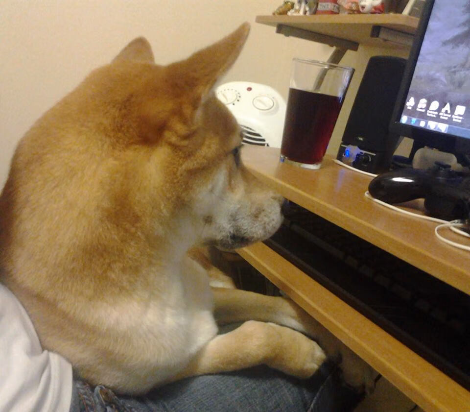 代码错乱，当足球门将在东决战场变身超维猎手