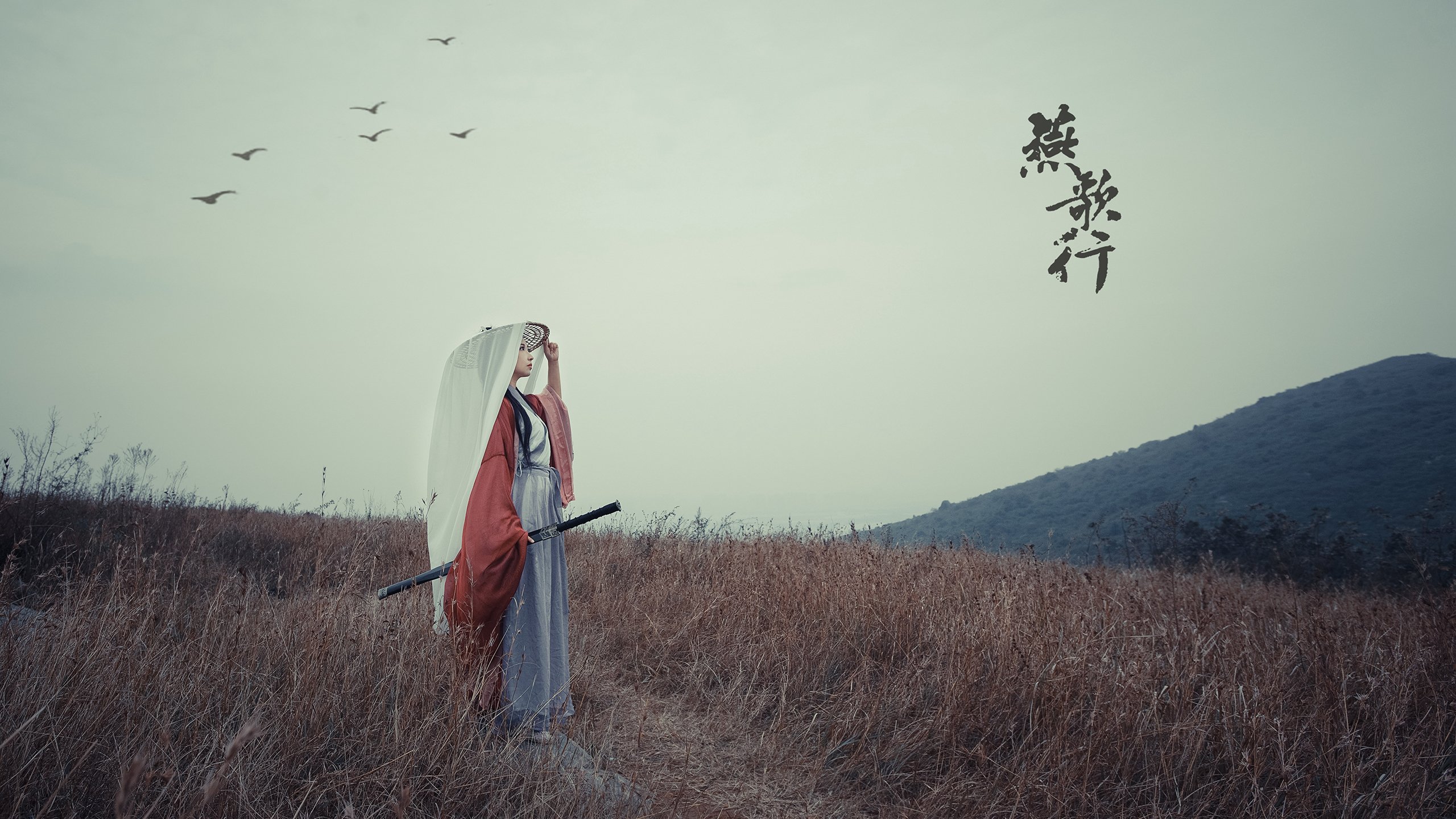 雷火电竞-哈兰德，当个人史诗碾碎战术圣经—巴黎豪华战舰遭北欧海盗单人凿沉