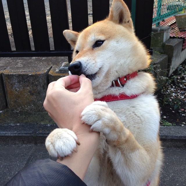 焦点之外，亦有风暴，当英超争冠白热化，另一场狂胜正在改写认知