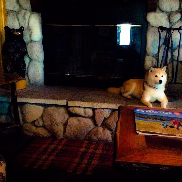 雷火电竞网址-历史之夜，字母哥非典型爆发改写黄蜂活塞对决剧本