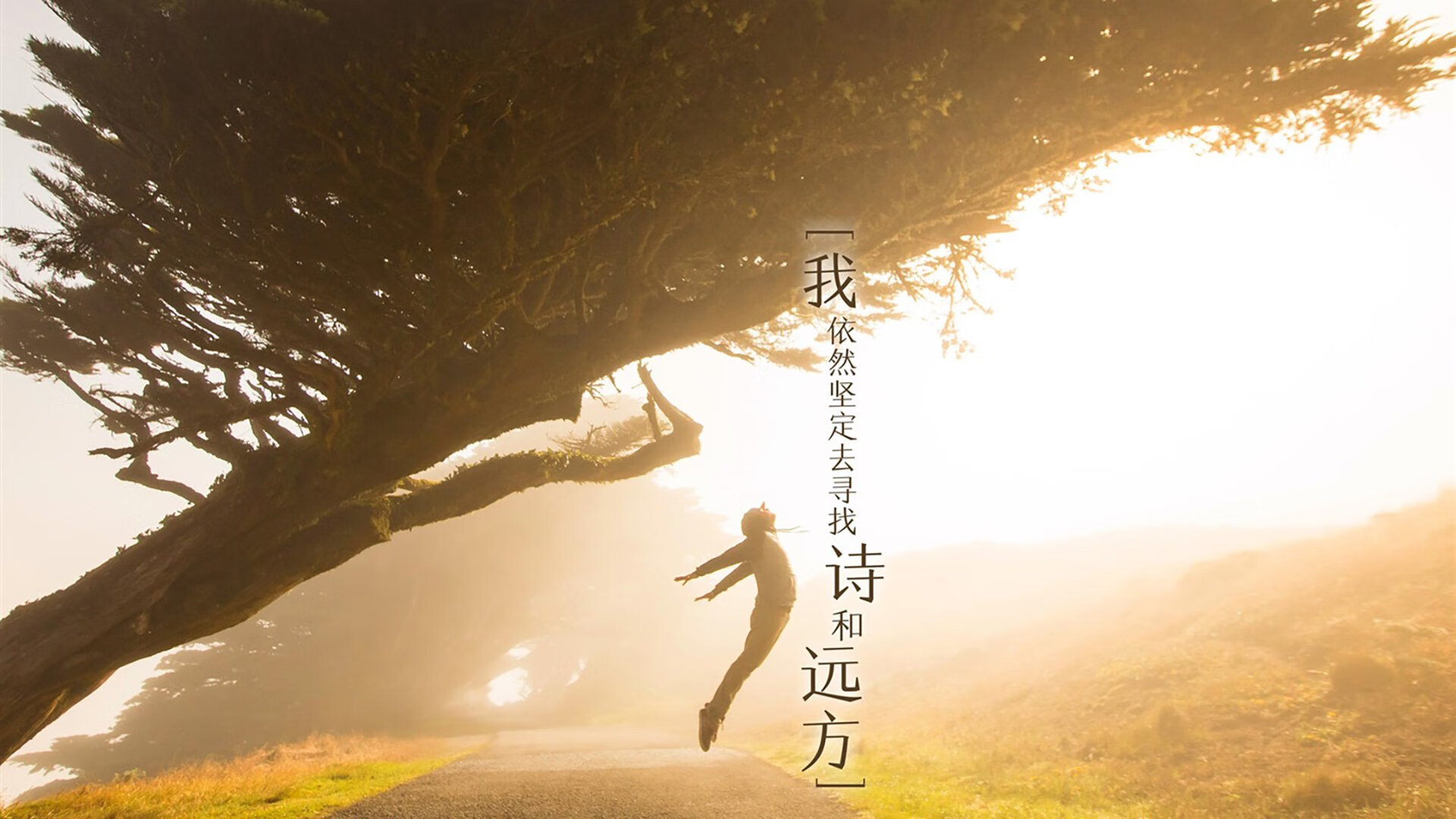 当最强者选择沉默，锡安在乌鲁木齐的凌晨撕开夜幕