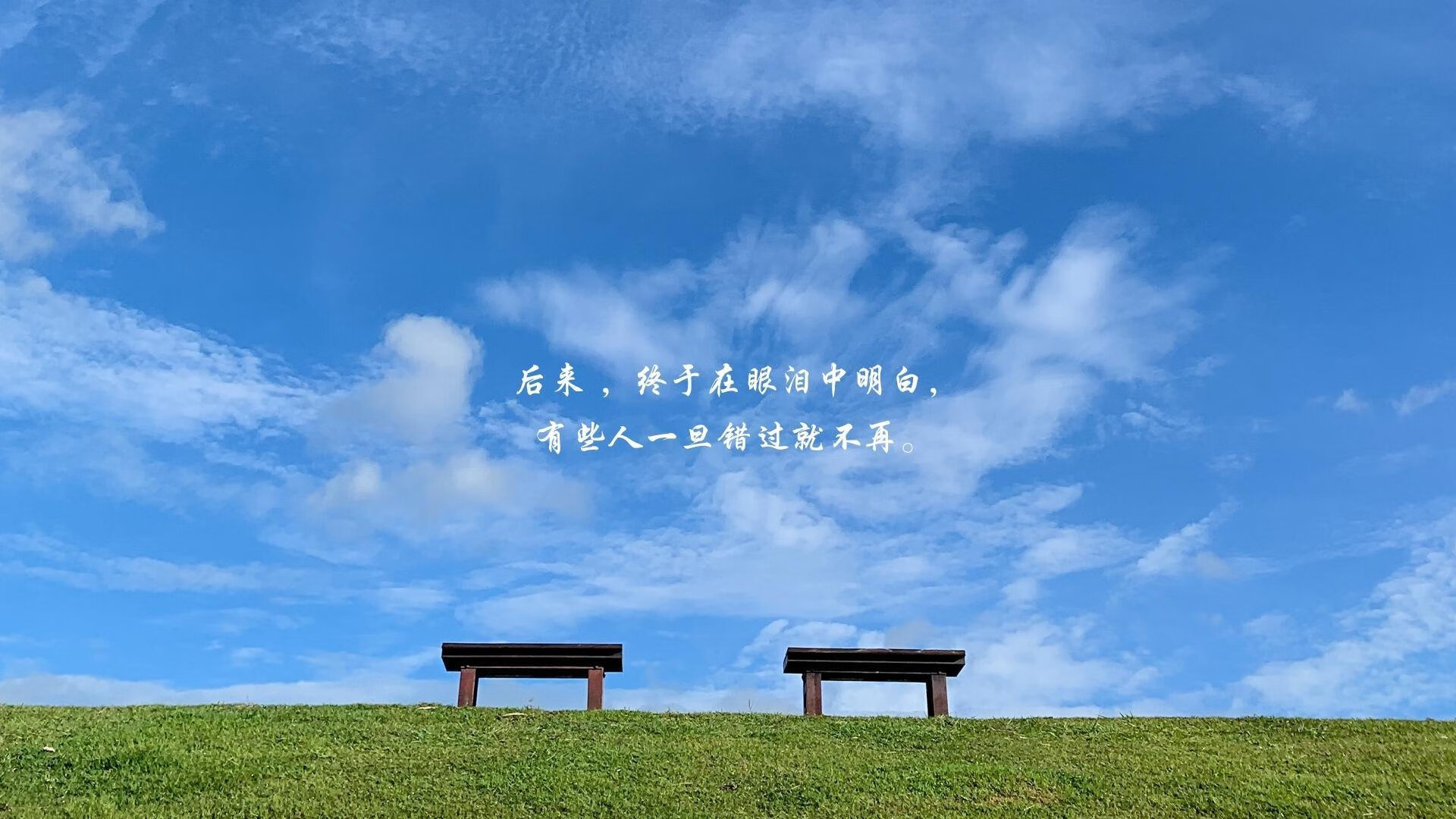 2026世界杯E组首战，阿根廷完胜智利，拉什福德与钢铁防线共铸唯一时刻