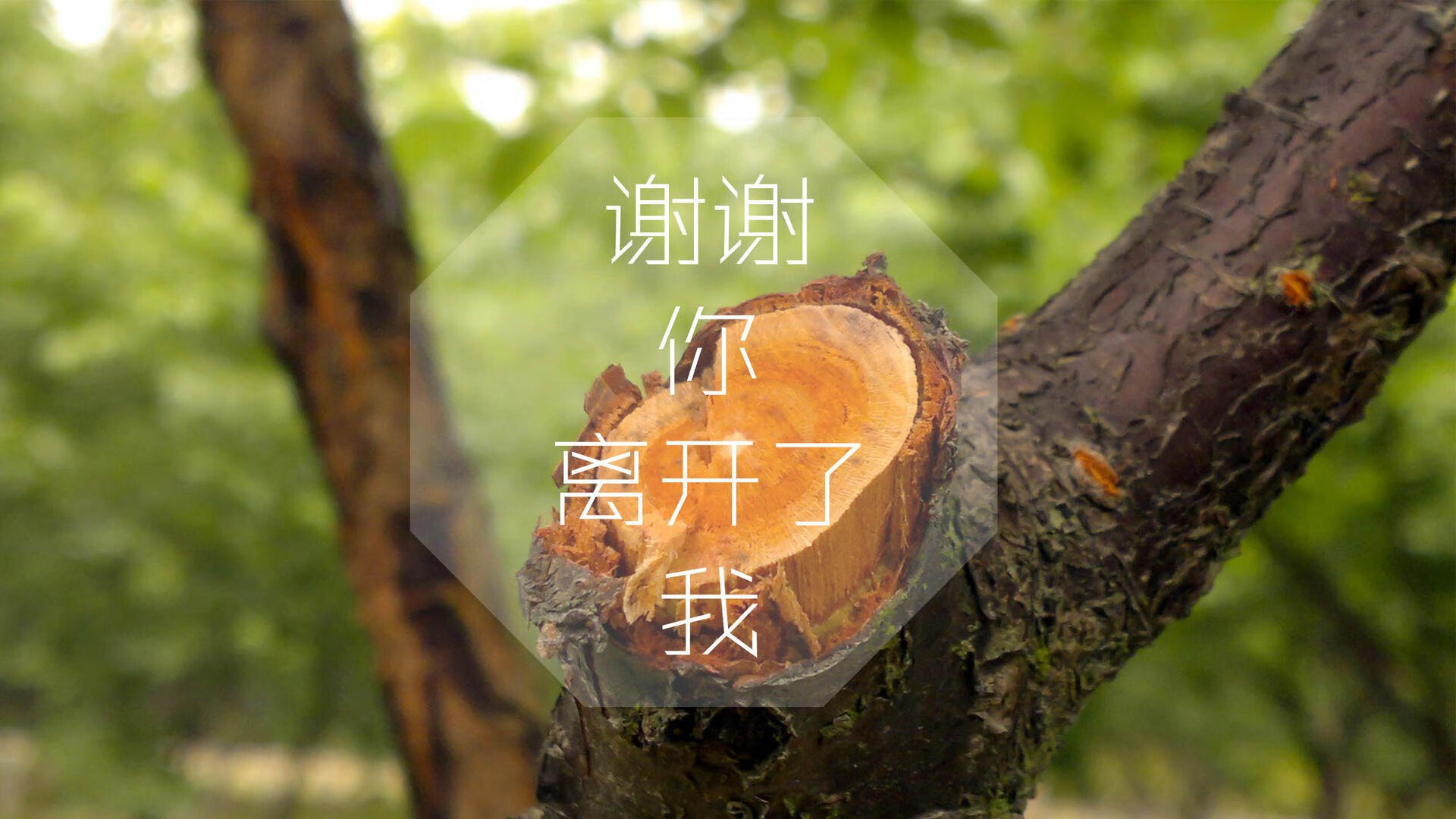 南美劲旅的黄昏之战，2026世界杯，越南力克智利，坎塞洛一个人的独角戏