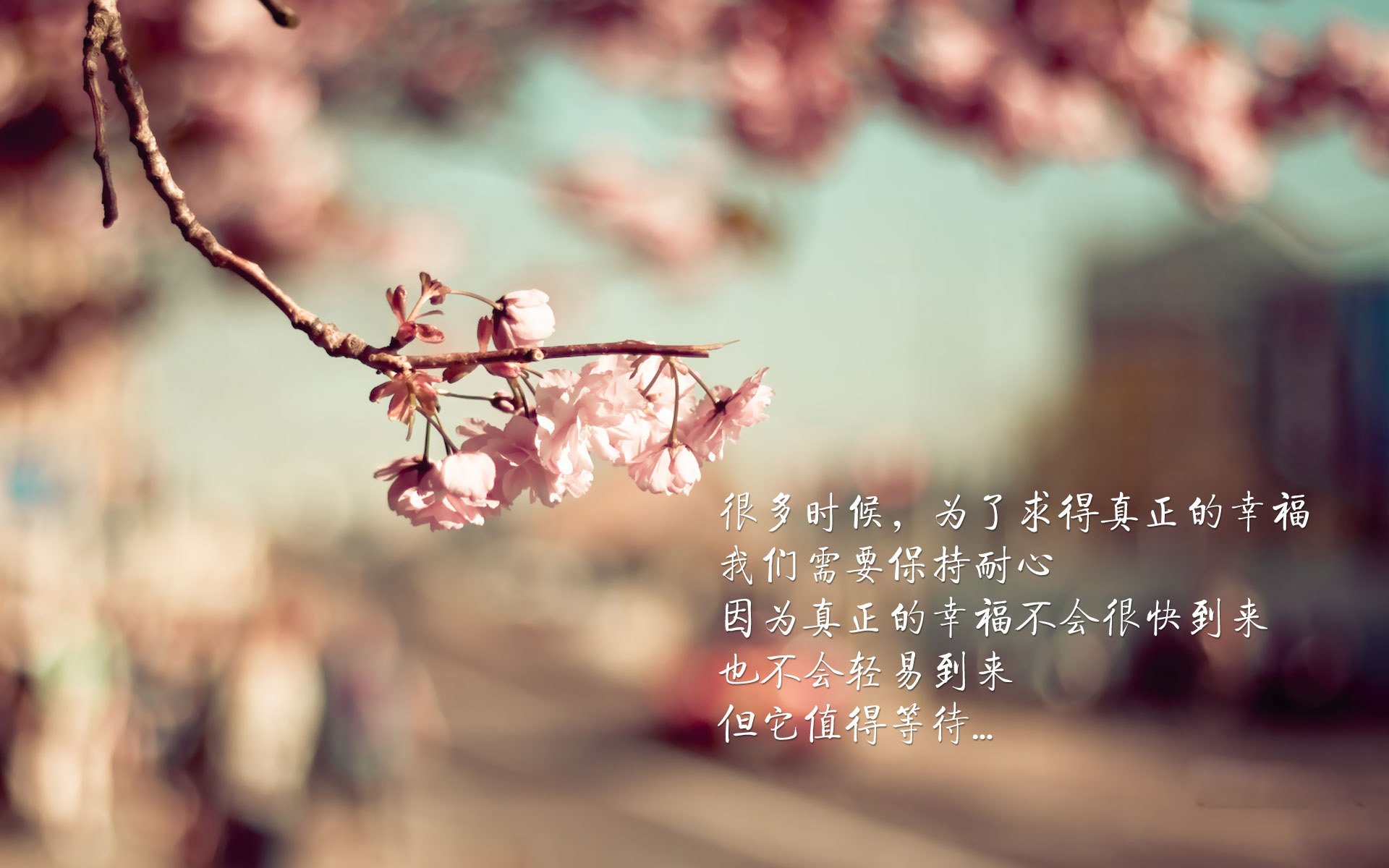 沙漠之鹰的致命一击,2026世界杯B组焦点战,齐耶赫如何用脚踝撕碎丹麦童话