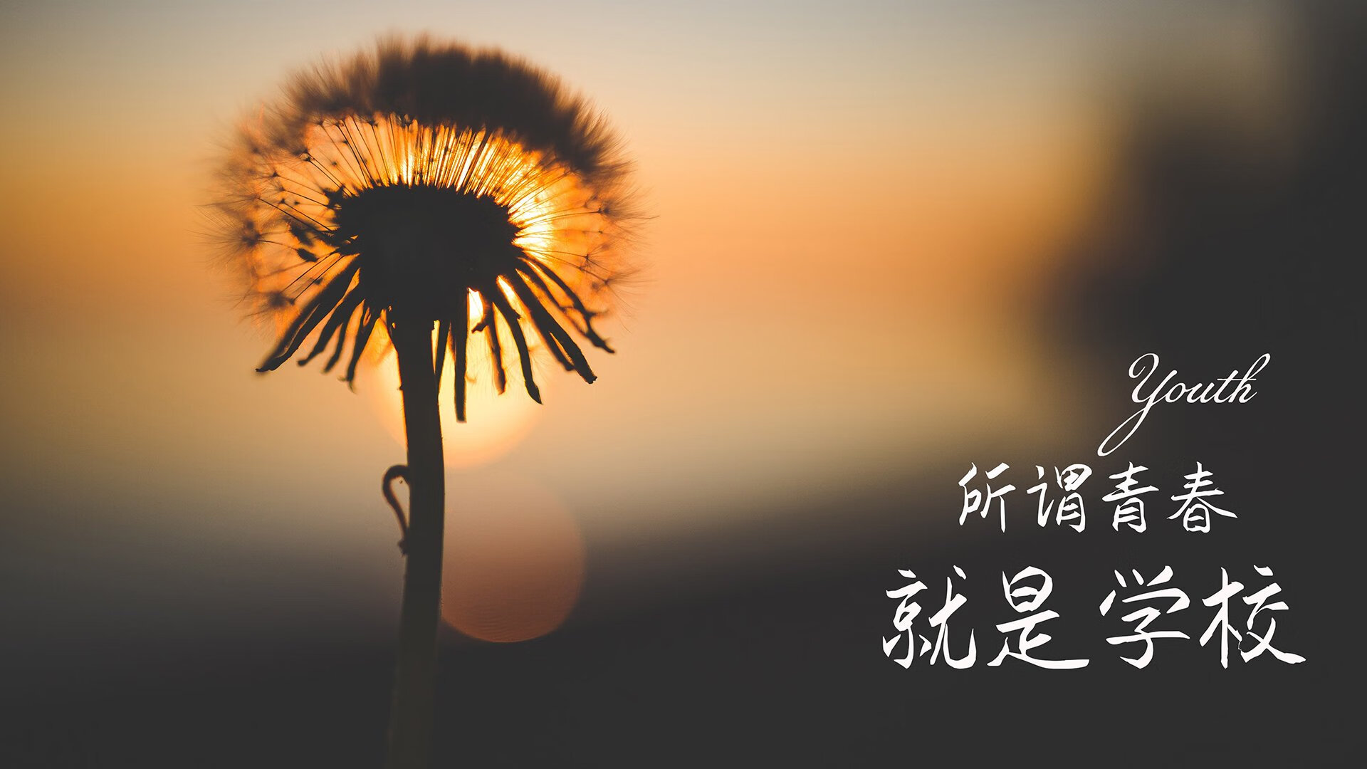 雷火电竞下载-中亚铁骑踏破东欧防线，2026世界杯G组，乌兹别克斯坦绝地反击，萨卡光芒刺穿波兰