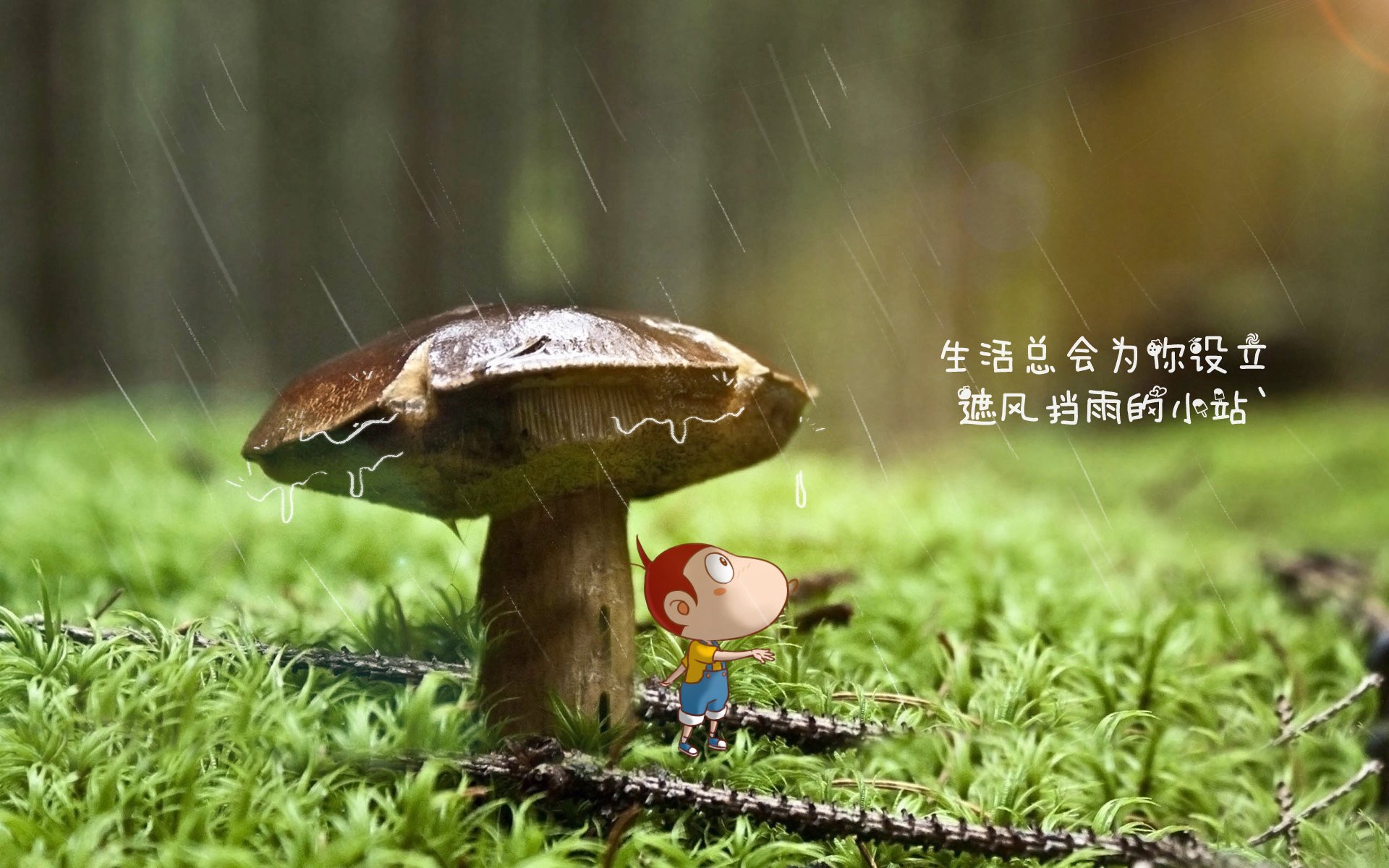 雷火电竞合作-冰火凯旋，2026世界杯D组冰岛大胜阿联酋，阿诺德独舞引爆冷门之夜