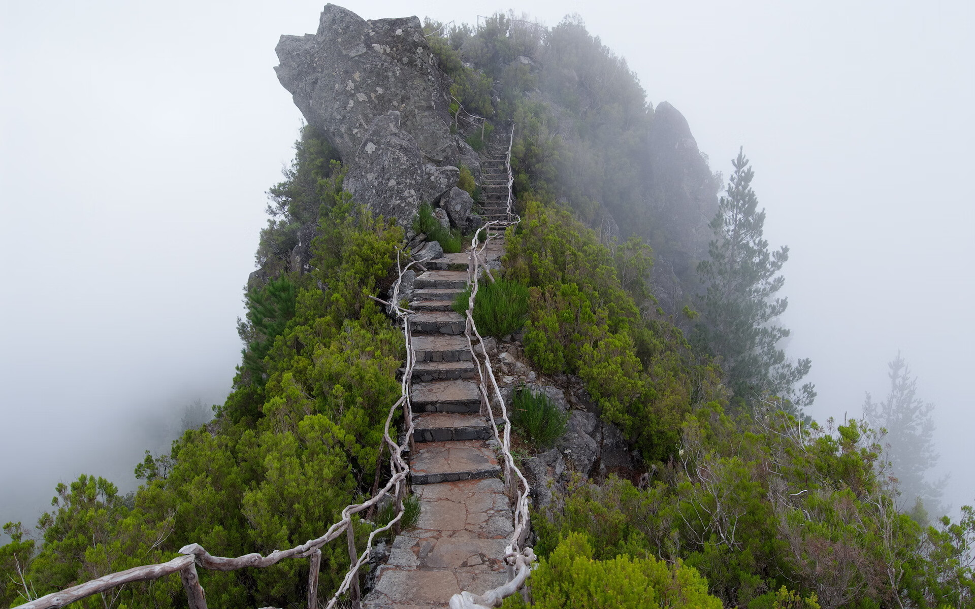 雷火电竞app-沙漠之狮啸傲巅峰，2026，摩洛哥用足球改写世界版图