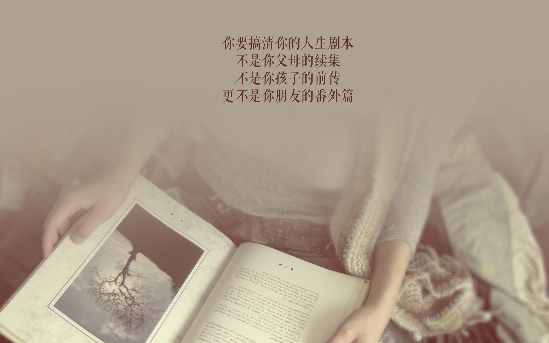 雷火电竞-枫叶之刃刺破黄昏—记2026世界杯F组加拿大绝杀葡萄牙，德容完成致命一击